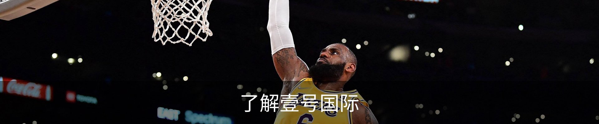 了解壹号国际